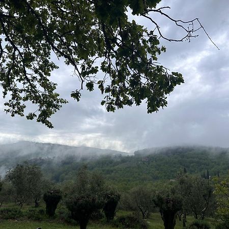 Podere Sagna Castellina in Chianti Luaran gambar