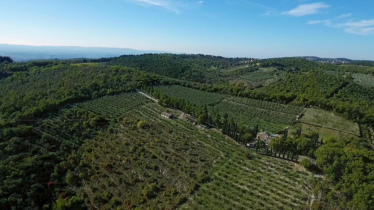 Podere Sagna Castellina in Chianti Luaran gambar